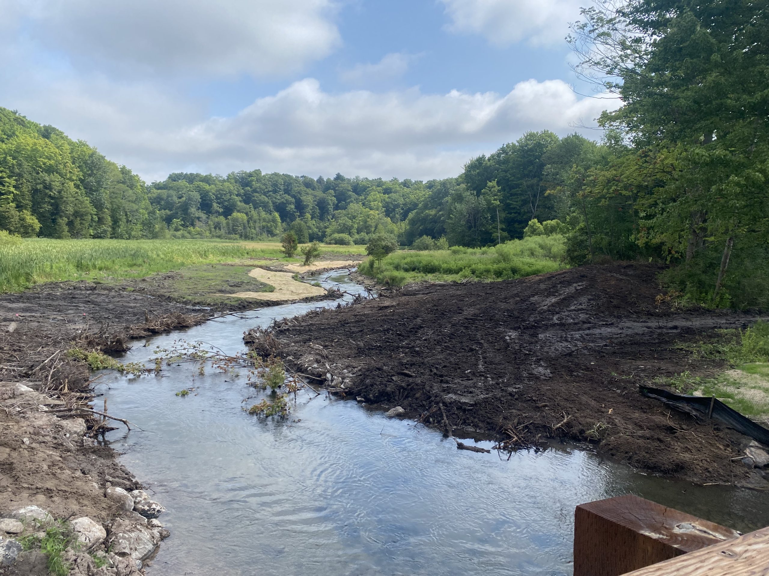 Stony Creek after dam removal.